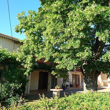 Hostal Les Prairies Mas Roux Raphèle Exterior foto